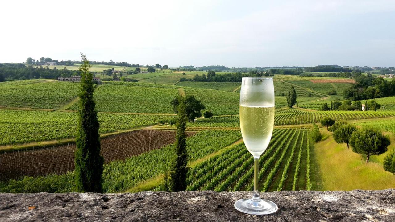Chateau De La Grave Bourg-sur-Gironde Eksteriør billede
