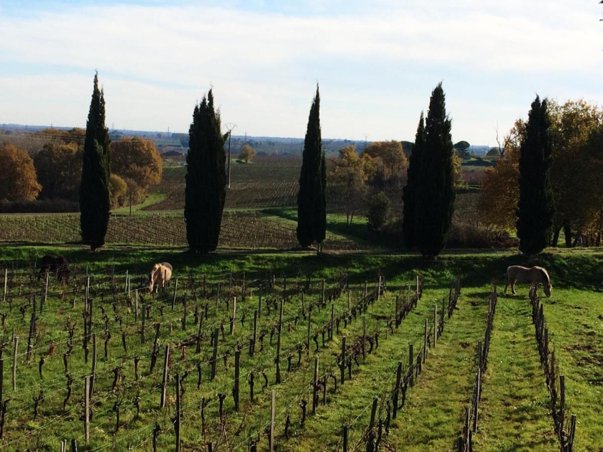 Chateau De La Grave Bourg-sur-Gironde Eksteriør billede